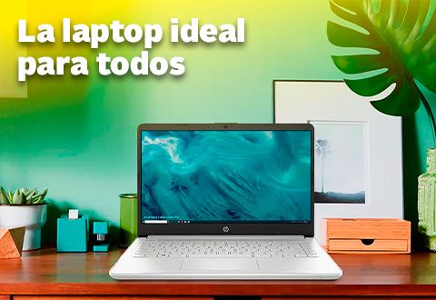 b-480x330-laptops-d.jpg