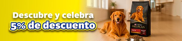 bld2-mascotas-m.jpg