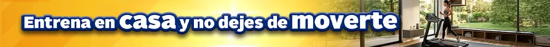 bld-maquinas de ejercicio-d.webp