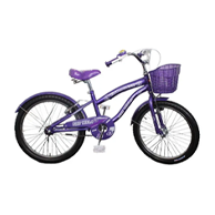Bicicletas