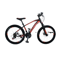 Bicicletas