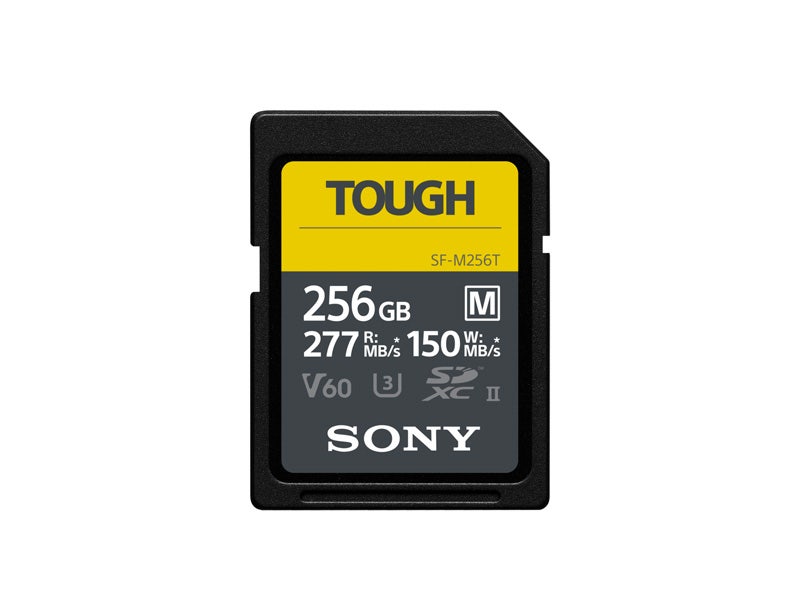 SFM256T