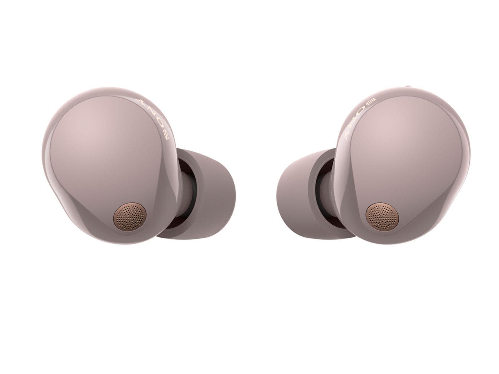 WF1000XM5PZUC