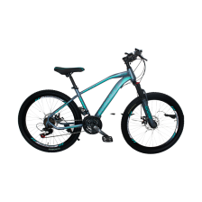 BICICLETA R24 MTB CABALLERO GRIS/AQUA
